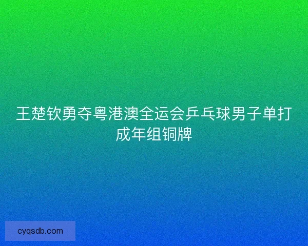 王楚钦勇夺粤港澳全运会乒乓球男子单打成年组铜牌 王楚钦勇夺粤港澳全运会乒乓球男子单打成年组铜牌